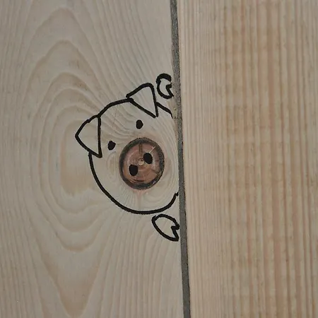 La Maison Des 3 Petits Cochons * Saint-Ferréol-Trente